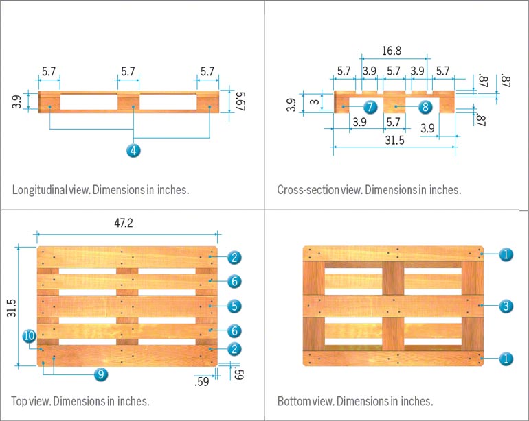 cijfer Ga terug opleggen De Europallet: afmetingen, gewicht en kenmerken - Mecalux.nl